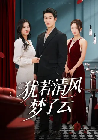 犹若清风梦了云在线观看
