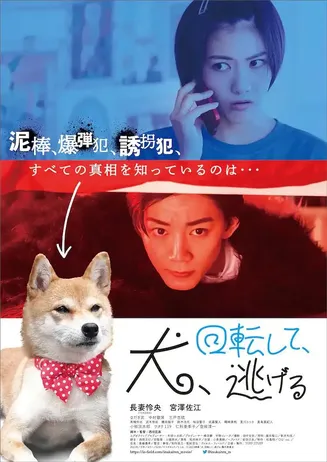 狗转了一圈 逃跑了在线观看