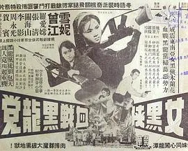 女黑侠血战黑龙党粤语在线观看