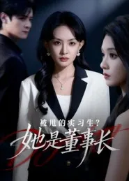 被甩的实习生？她是董事长！在线观看