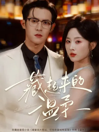 藏起来的温柔在线观看