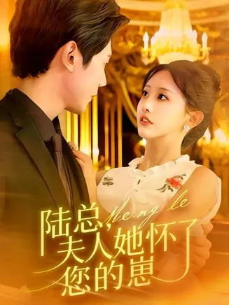陆总，夫人她怀了您的崽在线观看