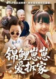 锦鲤崽崽爱拆家在线观看