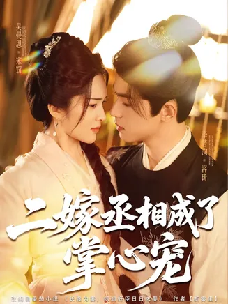 二嫁丞相成了掌心宠在线观看