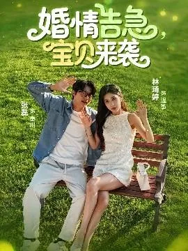 婚情告急，宝贝来袭 在线观看
