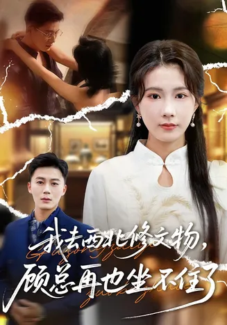 我去西北修文物，顾总再也坐不住了在线观看