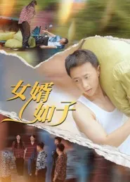 女婿如子在线观看