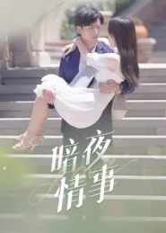 暗夜情事在线观看