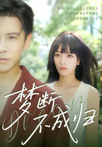 梦断不成归在线观看