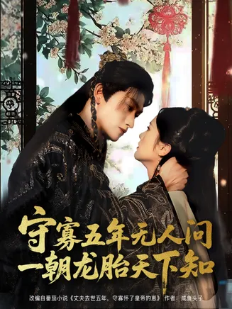 守寡五年无人问一朝龙胎天下知在线观看