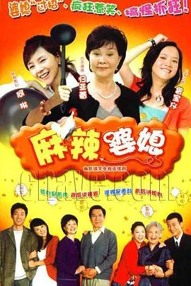 麻辣婆媳[电影解说]在线观看