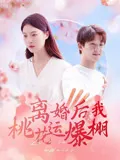 离婚后我桃花运爆棚在线观看
