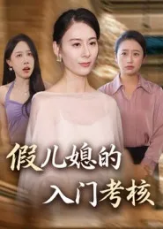 假儿媳的入门考核在线观看