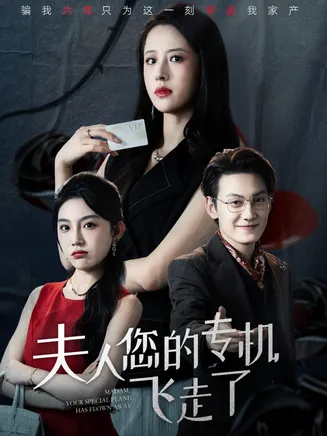 夫人您的专机飞走了在线观看