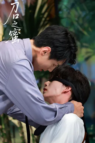 刀口之蜜在线观看