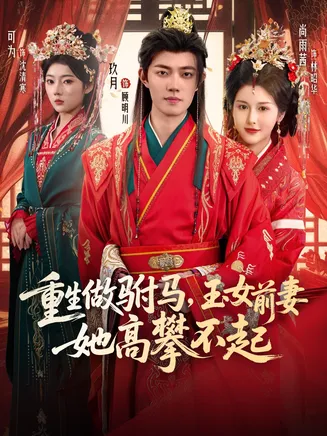 重生做驸马,玉女前妻她高攀不起在线观看