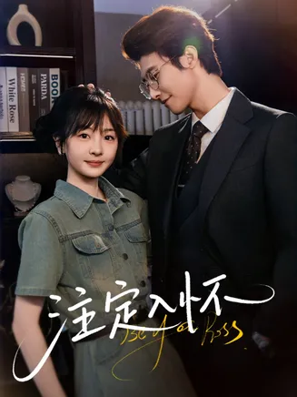 注定入怀在线观看