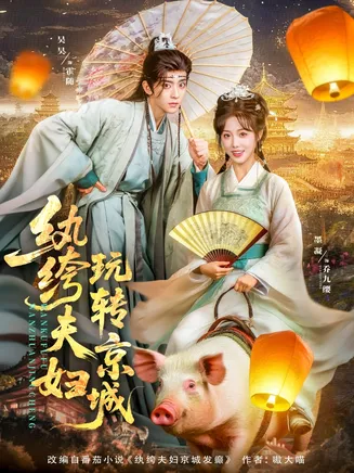 纨绔夫妇玩转京城在线观看