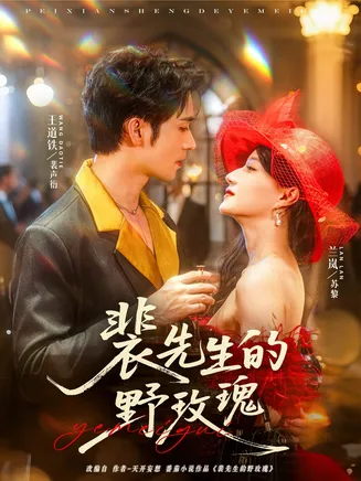 裴先生的野玫瑰在线观看