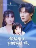 领结婚证附赠萌娃一枚在线观看