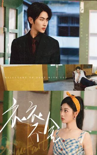 衣衣不舍在线观看