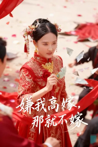 嫌我高嫁，那就不嫁在线观看