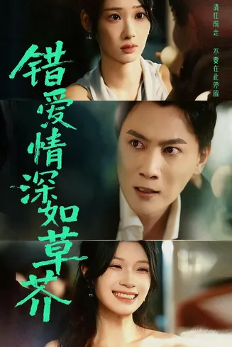 错爱情深如草芥在线观看