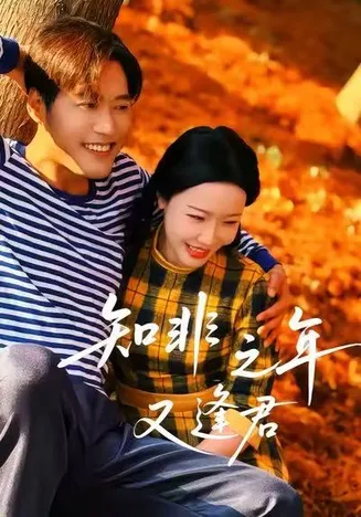 知非之年又逢君在线观看