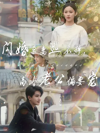 闪婚孕妻逃不掉，高冷老公偏要宠在线观看