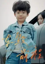 车毁前程在线观看
