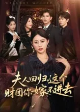 夫人回归，这个财团你嫁不进去在线观看