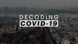 新冠病毒解码在线观看