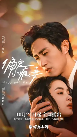 偏宠小疯妻在线观看