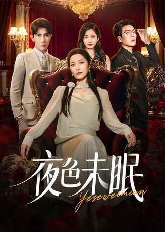 夜色未眠在线观看
