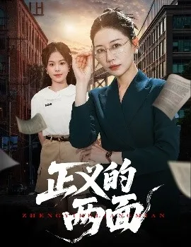 正义的两面在线观看