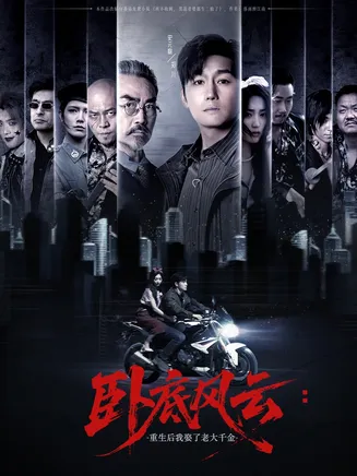 卧底风云：重生后我娶了老大千金在线观看