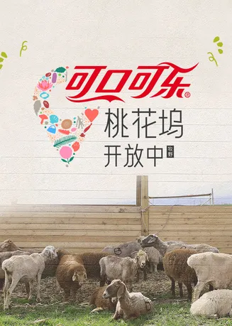 桃花坞开放中第4季在线观看