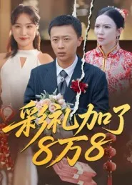 彩礼加了8万8在线观看