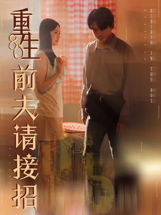 重生80前夫请接招在线观看
