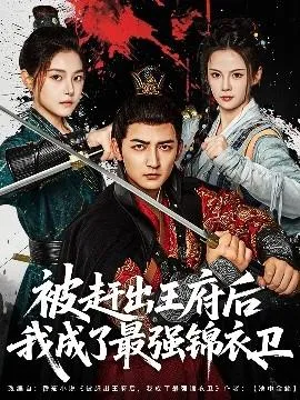 被赶出王府后我成了最强锦衣卫在线观看