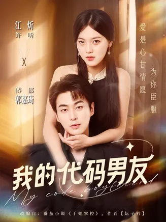 我的代码男友在线观看