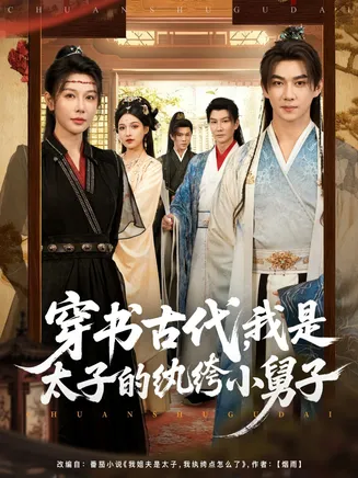 穿书古代，我是太子的纨绔小舅子在线观看