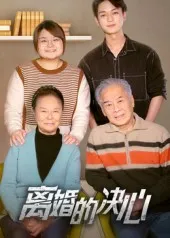 离婚的决心在线观看