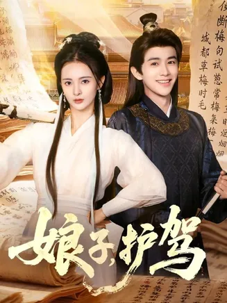娘子护驾在线观看