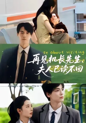 再见机长先生夫人已读不回在线观看