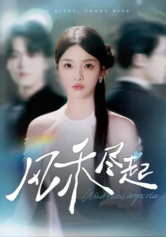 风禾尽起在线观看