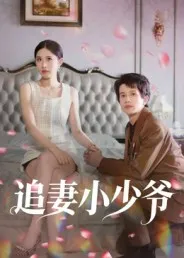 追妻小少爷在线观看