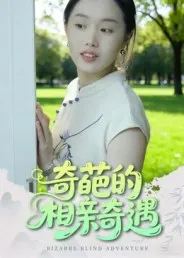 奇葩的相亲奇遇在线观看