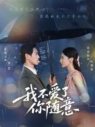 我不爱了你随意在线观看