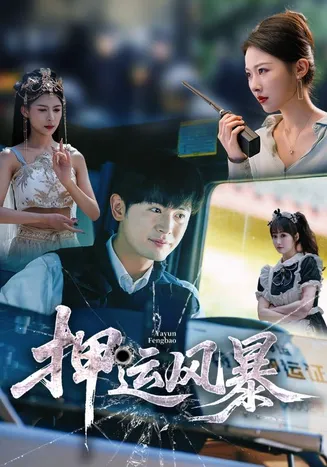 押运风暴在线观看